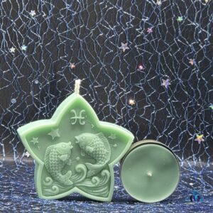 Bougie coffret astro poisson face