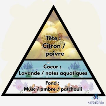 Pyramide olfactive acqua di gio