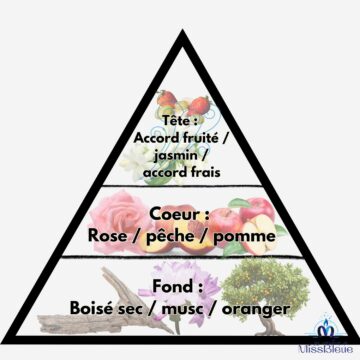 Pyramide olfactive adoucissant