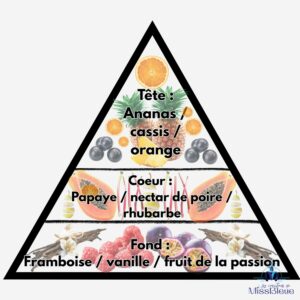 Pyramide olfactive ananas