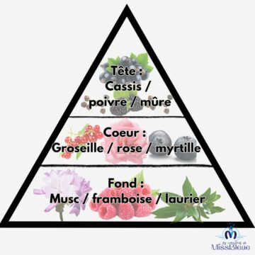 Pyramide olfactive baie givrée