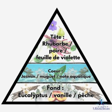 Pyramide olfactive balance