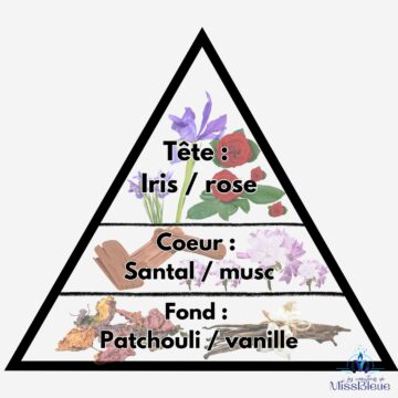 Pyramide olfactive belier