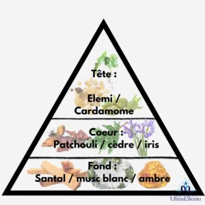 Pyramide olfactive bois de santal