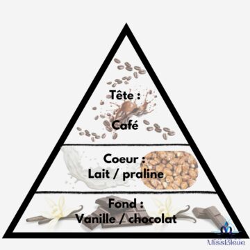 Pyramide olfactive café brésilien