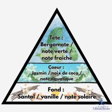 Pyramide olfactive cancer