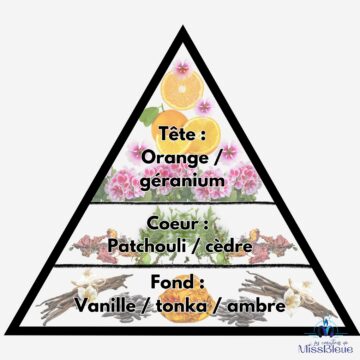 Pyramide olfactive capricorne