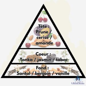 Pyramide olfactive cerise noire