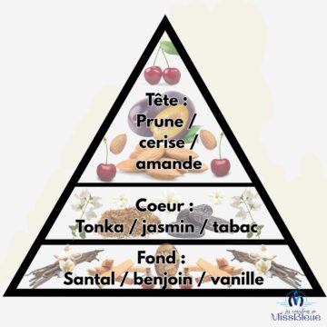 Pyramide olfactive cerise noire