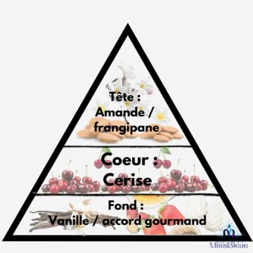 Pyramide olfactive cerise noire explosive
