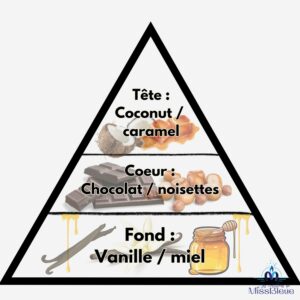 Pyramide olfactive chocolat noisettes