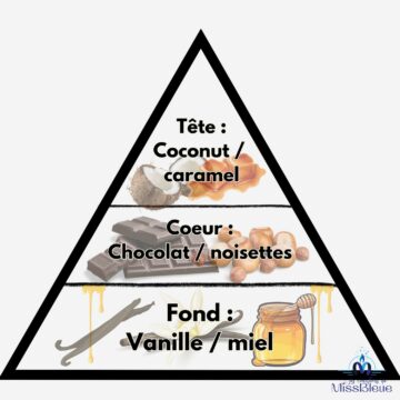 Pyramide olfactive chocolat noisettes