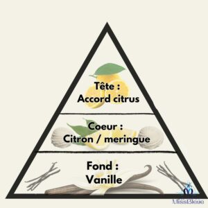 Pyramide olfactive citron meringué