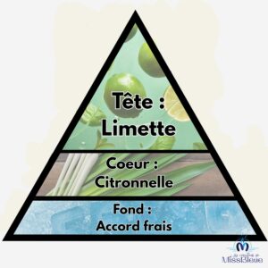 Pyramide olfactive citronnelle