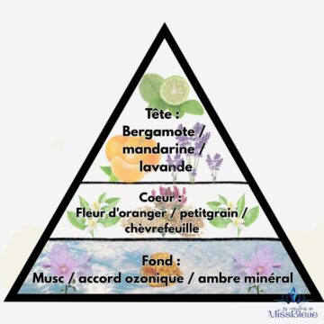 Pyramide olfactive fleur oranger apaisante