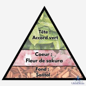 Pyramide olfactive fleur sakura