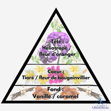 Pyramide olfactive fleur tiaré