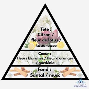 Pyramide olfactive fleurs blanches