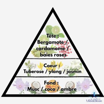 Pyramide olfactive fleurs du soleil