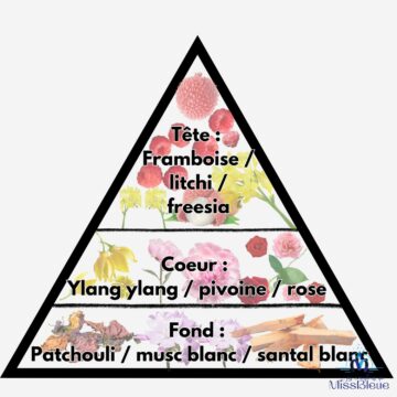Pyramide olfactive for her