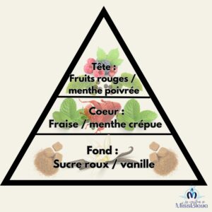 Pyramide olfactive fraise menthe