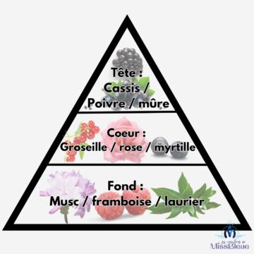 Pyramide olfactive framboise