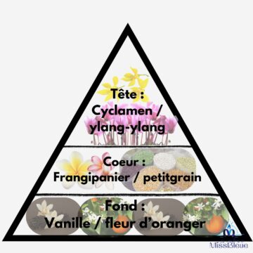 Pyramide olfactive frangipanier