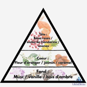 Pyramide olfactive fruit défendu