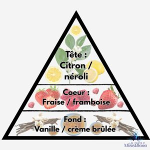 Pyramide olfactive fruits rouges