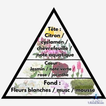 Pyramide olfactive gemeaux