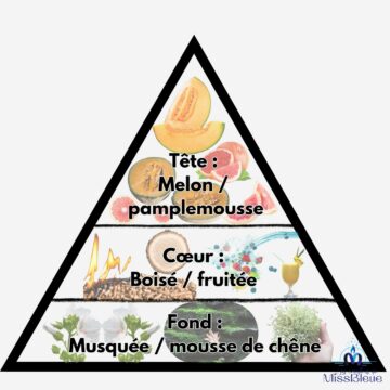 Pyramide olfactive glorieuse