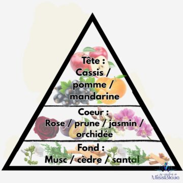 Pyramide olfactive jadore