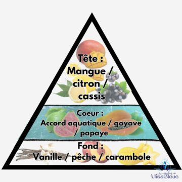 Pyramide olfactive jus goyave