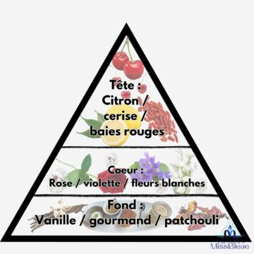 Pyramide olfactive la petite robe noire