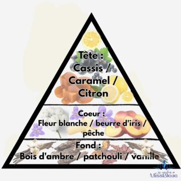 Pyramide olfactive la vie est belle