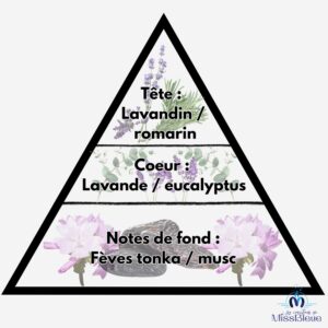 Pyramide olfactive lavande