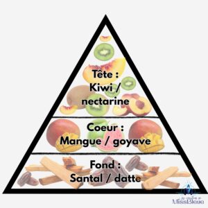 Pyramide olfactive mangue