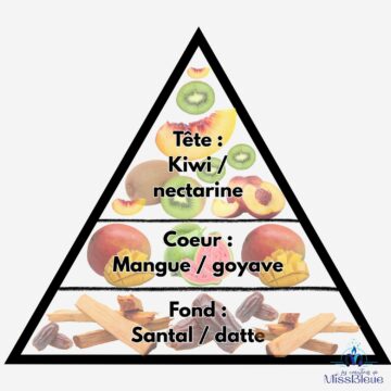 Pyramide olfactive mangue