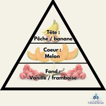 Pyramide olfactive melon