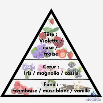 Pyramide olfactive millionnaire
