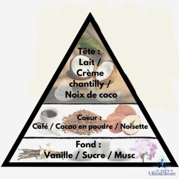 Pyramide olfactive mocaccino de noël