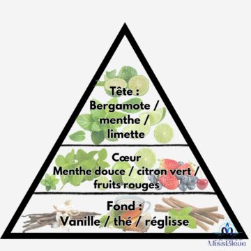 Pyramide olfactive mojito