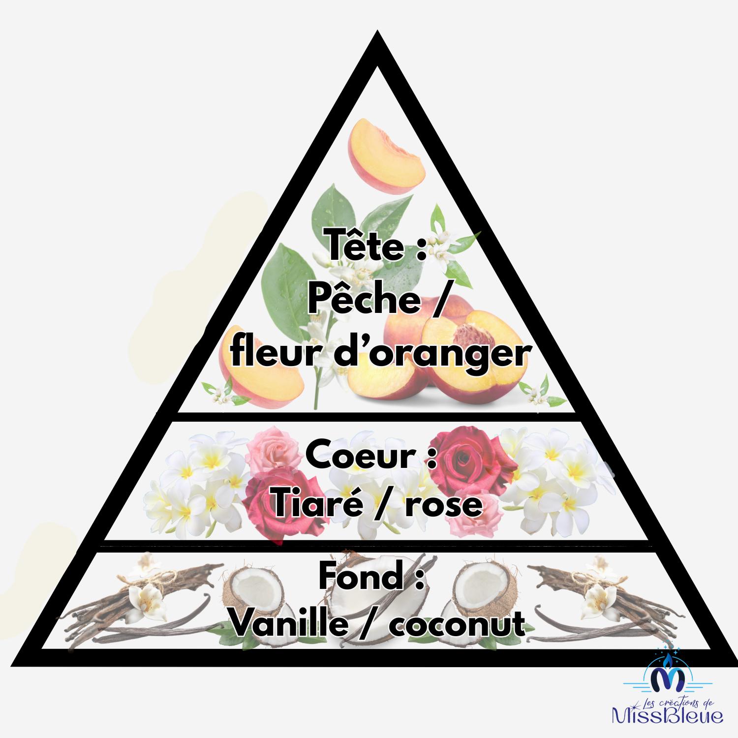 Pyramide olfactive monoi