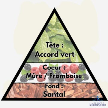 Pyramide olfactive mûre sauvage