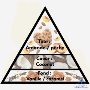 Pyramide olfactive noix de coco