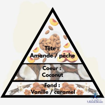 Pyramide olfactive noix de coco