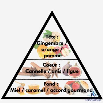 Pyramide olfactive pain épices et figue
