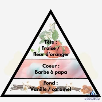 Pyramide olfactive perlimpinpin