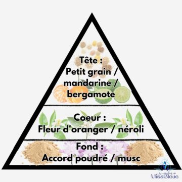 Pyramide olfactive pétales oranger