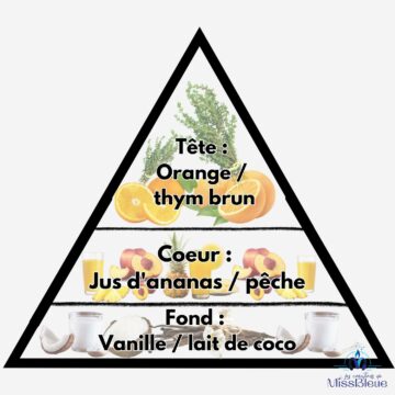 Pyramide olfactive pinacolada